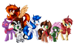 Size: 4500x2800 | Tagged: safe, artist:siggie740, oc, oc only, classical hippogriff, dragon, earth pony, hippogriff, kirin, pegasus, pony, zebra, dragoness, female, group, male, mare, simple background, stallion, transparent background