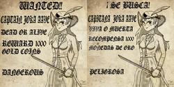 Size: 1024x512 | Tagged: safe, artist:susanzx2000, oc, oc only, human, hat, humanized, older, pirate, pirate hat, solo, sword, wanted, wanted poster, weapon