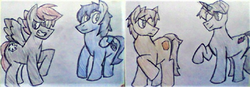 Size: 998x349 | Tagged: safe, artist:midday sun, oc, oc:dainty wings, oc:noble charge, oc:silver storm, oc:west wind, pony, colored, flat colors, lowres, male, simple background, soft color, stallion, traditional art