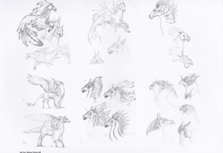 Size: 1109x765 | Tagged: source needed, safe, classical hippogriff, hippocampus, hippogriff, merpony, seapony (g4), g4, my little pony: the movie, the art of my little pony: the movie, concept art, grayscale, monochrome, realistic anatomy