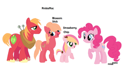 Size: 1170x636 | Tagged: safe, artist:missponi, big macintosh, pinkie pie, oc, oc:blossom stick, oc:strawberry chip, earth pony, pony, g4, base used, family, female, filly, freckles, male, offspring, parent:big macintosh, parent:pinkie pie, parents:pinkiemac, pinkiemac, shipping, simple background, straight, white background