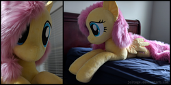 Size: 3000x1500 | Tagged: safe, artist:joltage, fluttershy, pegasus, pony, g4, female, irl, life size, mare, photo, plushie, prone, solo, spread wings, wings