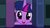 Size: 2048x1152 | Tagged: safe, screencap, twilight sparkle, alicorn, pony, amending fences, g4, season 5, book, bookshelf, cute, female, happy, looking at you, mare, open mouth, smiling, solo, twiabetes, twilight sparkle (alicorn)