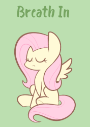 Size: 930x1310 | Tagged: safe, artist:typhwosion, part of a set, fluttershy, pegasus, pony, g4, animated, breathing, female, gif, green background, mare, meditating, meditation, misspelling, relaxing, simple background, sitting, solo, spread wings, text, underhoof, wings