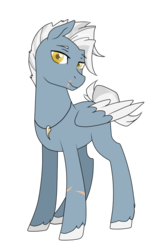 Size: 580x920 | Tagged: safe, artist:astriax, oc, oc only, oc:gale force, pegasus, pony, scar, simple background, solo, transparent background