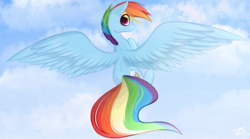 Size: 9000x5000 | Tagged: safe, artist:those kids in the corner, rainbow dash, pegasus, pony, g4, absurd resolution, cloud, female, flying, happy, looking at you, looking back, looking back at you, mare, profile, sky, smiling, solo, speedpaint, spread wings, wallpaper, wings