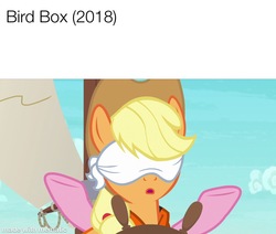 Size: 1000x848 | Tagged: safe, screencap, applejack, pinkie pie, g4, my little pony: friendship is magic, ppov, applejack's hat, bird box, blindfold, boat, cowboy hat, hat, meme, movie meme, watermark