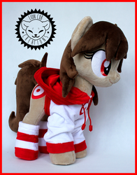 Size: 1500x1912 | Tagged: safe, artist:lioncubcreations, oc, oc only, oc:fun fact, earth pony, pony, clothes, cute, hoodie, irl, photo, plushie, socks, striped socks