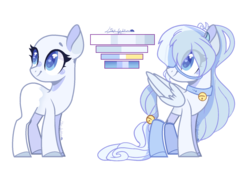 Size: 1791x1210 | Tagged: safe, artist:sora-choi, oc, oc only, oc:kiko, pegasus, pony, bell, bell collar, clothes, collar, female, mare, reference sheet, socks, solo