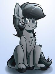 Size: 1024x1366 | Tagged: safe, artist:witchtaunter, oc, oc only, oc:grey matter, earth pony, pony, commission, cute, female, gradient background, mare, solo, unshorn fetlocks