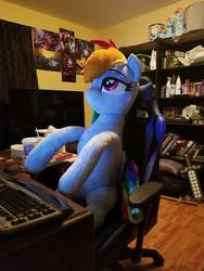 Size: 720x960 | Tagged: safe, artist:epicrainbowcrafts, rainbow dash, g4, irl, life size, photo, plushie, sitting