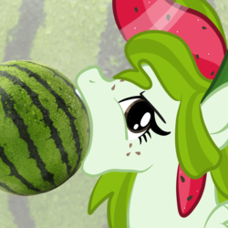 Size: 2100x2100 | Tagged: safe, artist:sjart117, derpibooru exclusive, oc, oc only, oc:watermelana, pegasus, pony, angry, female, food, freckles, high res, looking at you, mare, mouth hold, solo, wat, watermelon