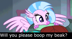 Size: 996x540 | Tagged: safe, edit, edited screencap, screencap, silverstream, yona, hippogriff, yak, g4, bronybait, cute, diastreamies, meme