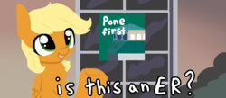 Size: 1010x440 | Tagged: safe, artist:nootaz, oc, oc:rapid rescue, pony, is this a pigeon, meme