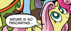 Size: 1495x650 | Tagged: safe, fluttershy, pegasus, pony, idw, comic, cropped, female, mare, meme, nature is so fascinating, text