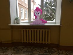 Size: 3264x2448 | Tagged: safe, artist:albertuha, pinkie pie, earth pony, pony, g4, female, frown, glare, heater, high res, irl, looking at you, mare, photo, ponies in real life, raised eyebrow, school, sitting, snow, solo, window, winter