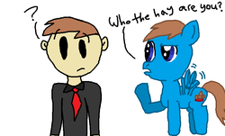 Size: 743x448 | Tagged: safe, artist:nightshadowmlp, oc, oc:court case, human, pegasus, pony, dialogue, flying, male, question mark, stallion, text