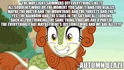 Size: 1920x1080 | Tagged: safe, edit, edited screencap, screencap, autumn blaze, kirin, g4, sounds of silence, caption, excessive exclamation marks, female, grin, image macro, quote, smiling, solo, text, tl;dr
