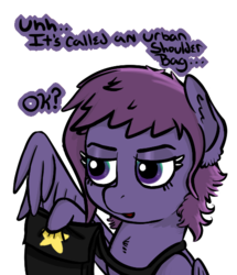 Size: 493x573 | Tagged: safe, artist:vee ness, oc, oc only, oc:vee ness, pegasus, pony, messenger bag, solo