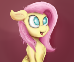Size: 1200x1000 | Tagged: safe, artist:rainyvisualz, fluttershy, pegasus, pony, g4, female, happy, mare, red background, simple background, solo