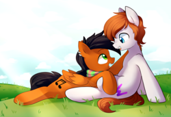 Size: 3500x2400 | Tagged: safe, artist:maren, oc, oc only, earth pony, pegasus, pony, commission, cute, ear piercing, gay, high res, looking at each other, male, open mouth, piercing, smiling