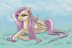 Size: 1800x1200 | Tagged: safe, artist:thiefofcookies, fluttershy, pegasus, pony, g4, cold, female, floppy ears, grass, lidded eyes, mare, melancholy, prone, solo