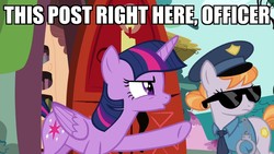 Size: 1280x720 | Tagged: safe, edit, edited screencap, screencap, copper top, twilight sparkle, alicorn, earth pony, pony, g4, testing testing 1-2-3, annoyed, caption, golden oaks library, image macro, impact font, meme, pointing, police, police officer, reaction image, showing, sunglasses, text, twilight sparkle (alicorn)