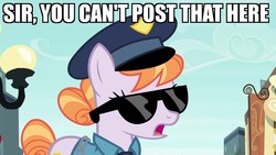 Size: 1280x720 | Tagged: safe, edit, edited screencap, screencap, copper top, earth pony, pony, g4, the gift of the maud pie, caption, female, image macro, impact font, mare, meme, police, police officer, reaction image, solo, sunglasses, text