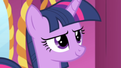 Size: 1067x600 | Tagged: safe, screencap, twilight sparkle, alicorn, pony, g4, rarity's biggest fan, carousel boutique, close-up, female, mare, mirror, solo, twilight sparkle (alicorn)