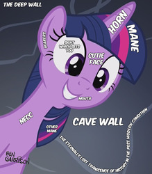 Size: 944x1080 | Tagged: safe, edit, edited screencap, screencap, twilight sparkle, alicorn, pony, a health of information, g4, ben garrison, bust, captain obvious, cave, cute, dark background, ears, eye, eyes, female, grin, horn, label, mane, mare, necc, neck, parody, philosophy, purple, smiling, solo, squee, text, twiabetes, twilight sparkle (alicorn)