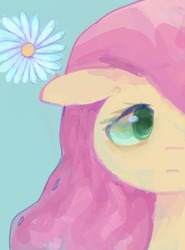 Size: 890x1204 | Tagged: safe, artist:laurasrxfgcc, fluttershy, pony, g4, blue background, bust, chamomile, colored pupils, cute, female, floppy ears, flower, half face, looking at you, mare, portrait, shyabetes, simple background, solo