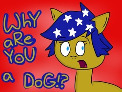 Size: 540x405 | Tagged: safe, pony, kosovo, nation ponies, ponified, solo