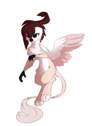 Size: 954x1296 | Tagged: safe, artist:php146, oc, oc only, oc:masashi, griffon, chest fluff, griffon oc, griffonized, male, pale belly, simple background, solo, species swap, white background