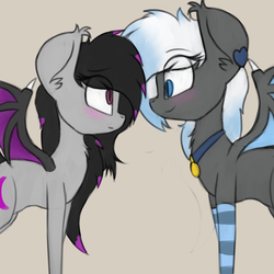 Size: 3000x3000 | Tagged: safe, artist:claudearts, oc, oc:moonlight melody, oc:starless moon, bat pony, pony, blushing, clothes, collar, cute, high res, looking at each other, oc x oc, shipping, socks, striped socks