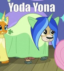 Size: 312x343 | Tagged: safe, edit, edited screencap, screencap, fluttershy, smolder, yona, dragon, yak, g4, horse play, clothes, cloven hooves, clover, costume, cropped, dragoness, fake ears, fake horn, female, pony ears, solo focus, star wars, unicorn horns, wig, yoda