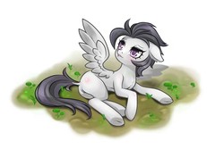 Size: 1500x1000 | Tagged: safe, artist:alpaca-pharaoh, rumble, pegasus, pony, g4, big eyes, blushing, cute, feathered wings, girly, male, prone, purple eyes, shy, solo, spread wings, trap, wingboner, wings
