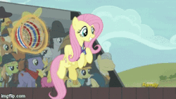 Size: 360x202 | Tagged: safe, screencap, cherry berry, fluttershy, lucky clover, yuma spurs, pegasus, pony, buckball season, g4, season 6, animated, background pony, buckball, buckball uniform, cute, female, flying, gif, gotta go fast, happy, male, mare, prehensile tail, shyabetes, smiling, solo focus, spinning, spread wings, stallion, tail extensions, throwing, wings