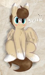 Size: 1695x2800 | Tagged: safe, artist:itsmeelement, oc, oc only, oc:skittle, pegasus, pony, abstract background, blushing, cute, male, painting, shy, sitting, solo, stallion