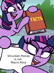 Size: 760x1015 | Tagged: safe, artist:quarium edits, twilight sparkle, alicorn, pony, g4, book, exploitable meme, macro, meme, twilight sparkle (alicorn), twilight's fact book