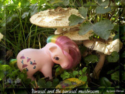 Size: 900x675 | Tagged: safe, artist:larrachersan, parasol (g1), pony, g1, irl, mushroom, parasol mushroom, photo, rainbow ponies, solo, toy
