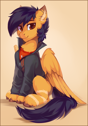 Size: 2255x3205 | Tagged: safe, artist:share dast, oc, oc only, oc:ramiras, pegasus, pony, clothes, high res, looking at you, male, sitting, solo, stallion, unshorn fetlocks