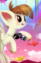 Size: 3360x5120 | Tagged: safe, artist:darksly, featherweight, bird, pegasus, pony, g4, absurd resolution, camera, cloud, cloudsdale, colt, commission, flying, happy, male, rainbow, rainbow waterfall, smiling, solo