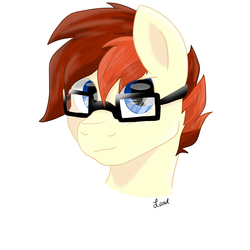 Size: 3000x3000 | Tagged: safe, artist:leadthepone, oc, oc:lead pone, earth pony, pony, bust, glasses, high res, male, portrait, stallion