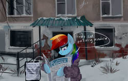 Size: 2700x1712 | Tagged: safe, artist:xjenn9, rainbow dash, pegasus, pony, g4, cyrillic, newspaper, russia, russian, snow, solo, translated in the comments, unemployment, worried
