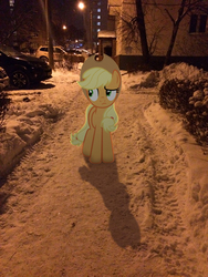 Size: 2448x3264 | Tagged: artist needed, safe, artist:albertuha, applejack, earth pony, pony, g4, car, city lights, high res, irl, night, photo, ponies in real life, snow, solo, winter