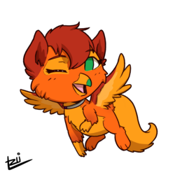 Size: 2000x2000 | Tagged: safe, oc, oc only, oc:amber wing, griffon, chibi, collar, flying, high res, one eye closed, solo, wings, wink