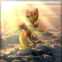 Size: 2000x2000 | Tagged: safe, oc, oc only, oc:amber wing, griffon, cloud, collar, flying, high res, solo, sun, ych result