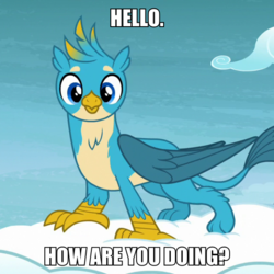 Size: 600x600 | Tagged: safe, edit, edited screencap, screencap, gallus, griffon, g4, school raze, birb, bronybait, caption, cloud, cute, gallabetes, gallove, image macro, looking at you, male, solo, standing on a cloud, talking to viewer, text