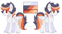Size: 1024x557 | Tagged: safe, artist:mint-light, artist:moon-rose-rosie, oc, oc only, oc:shining ray, pegasus, pony, base used, deviantart watermark, obtrusive watermark, offspring, parent:soarin', parent:spitfire, parents:soarinfire, reference sheet, solo, watermark