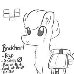 Size: 1650x1650 | Tagged: safe, artist:tjpones, oc, oc only, oc:brickheart, earth pony, pony, brick, chest fluff, ear fluff, grayscale, male, monochrome, reference sheet, saddle bag, simple background, solo, stallion, white background
